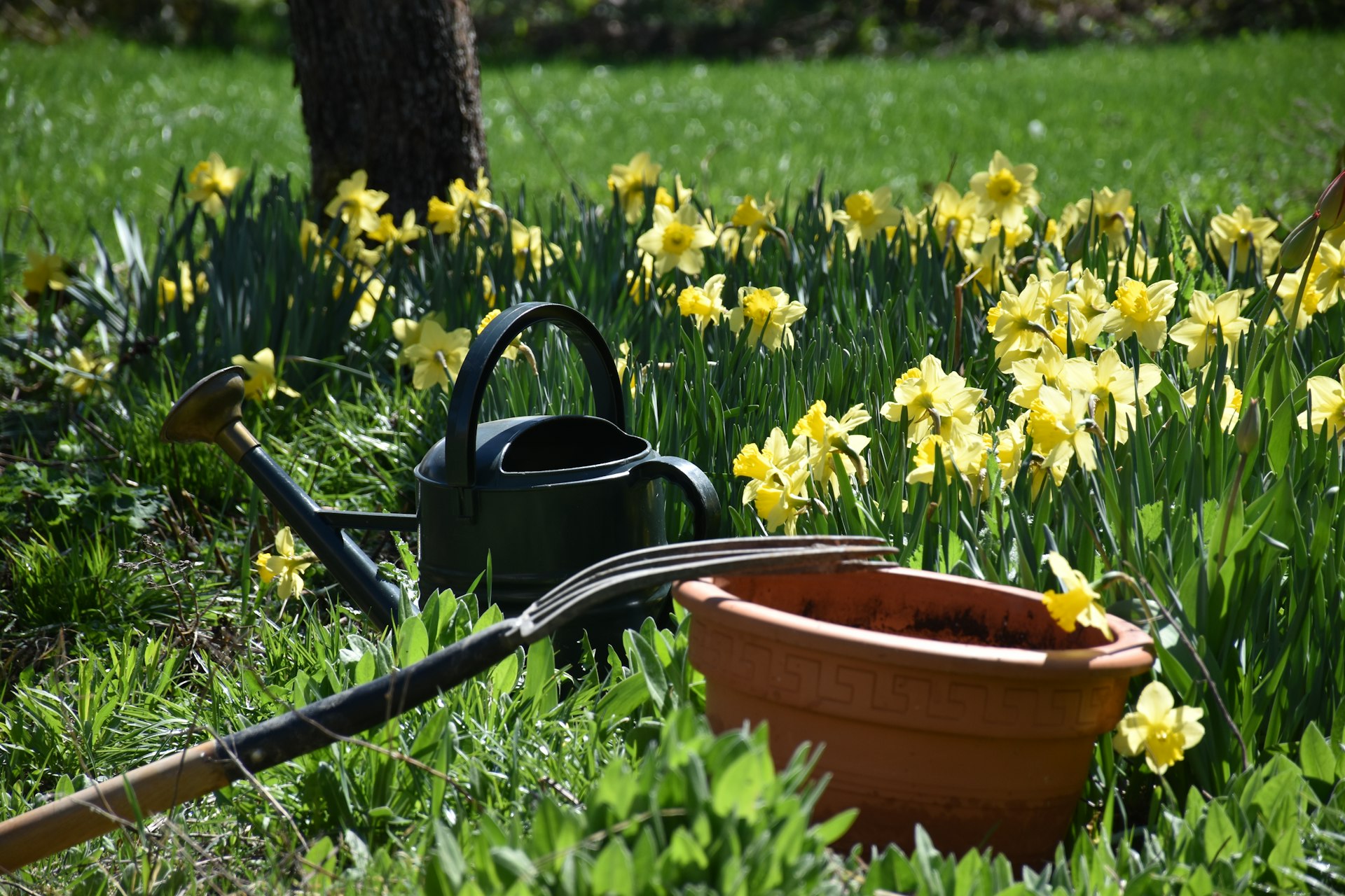 a watering can sitting in the grass next to a flower pot